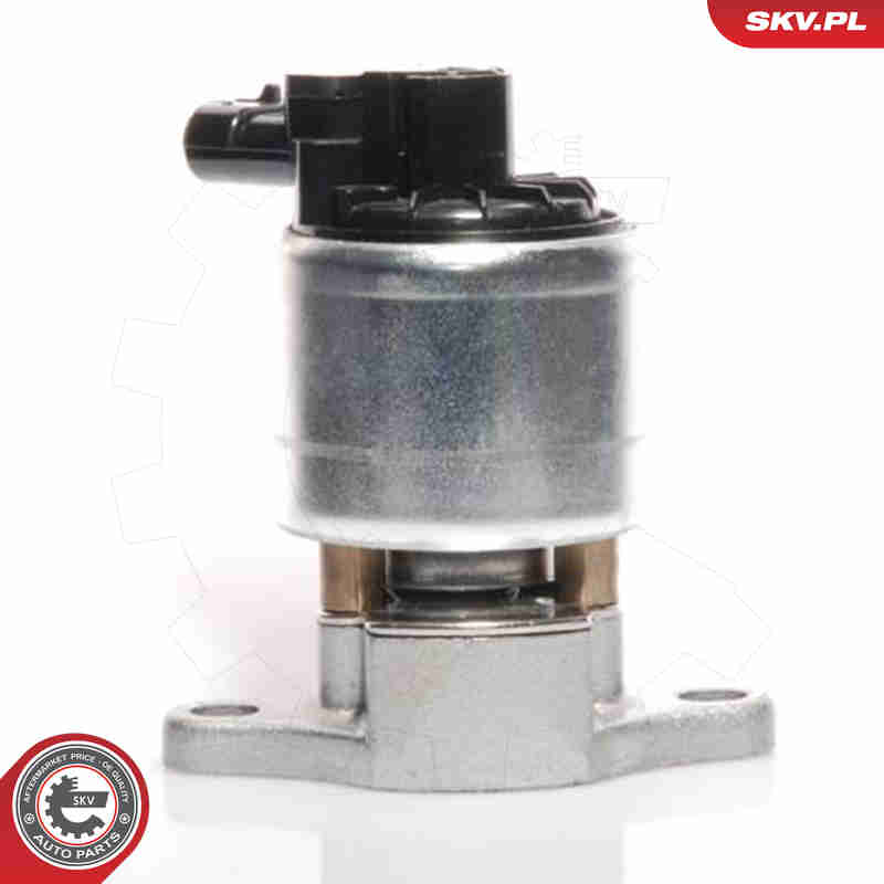 ESEN SKV AGR-Ventil 14skv041 für Vaughall