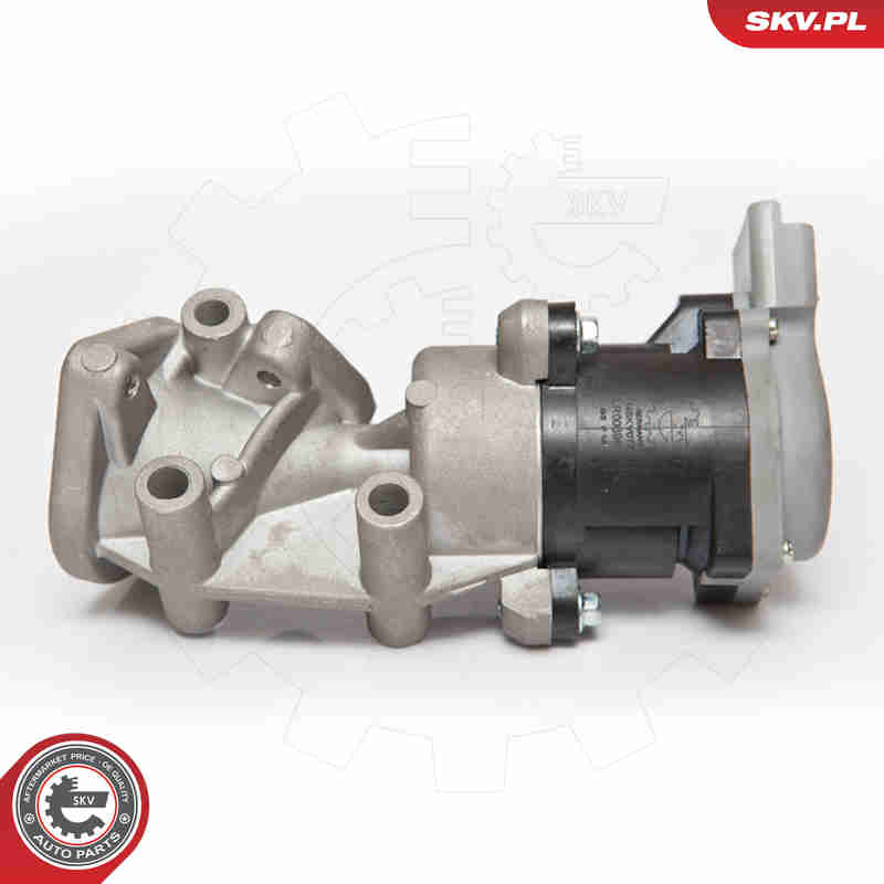 ESEN SKV AGR-Ventil 14skv072 links für Ford LAND ROVER