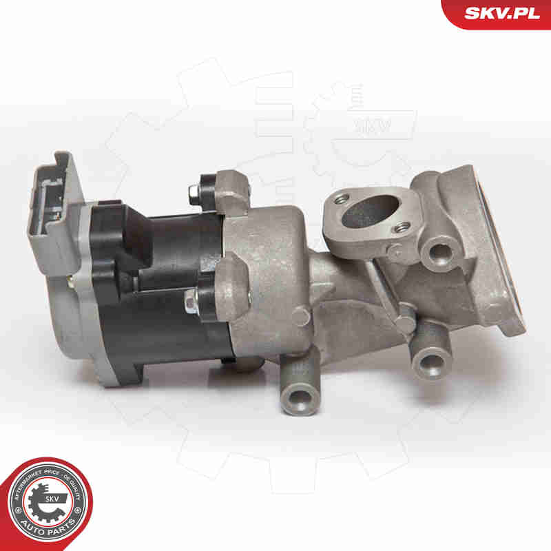 ESEN SKV AGR-Ventil 14skv073 rechts für LAND ROVER