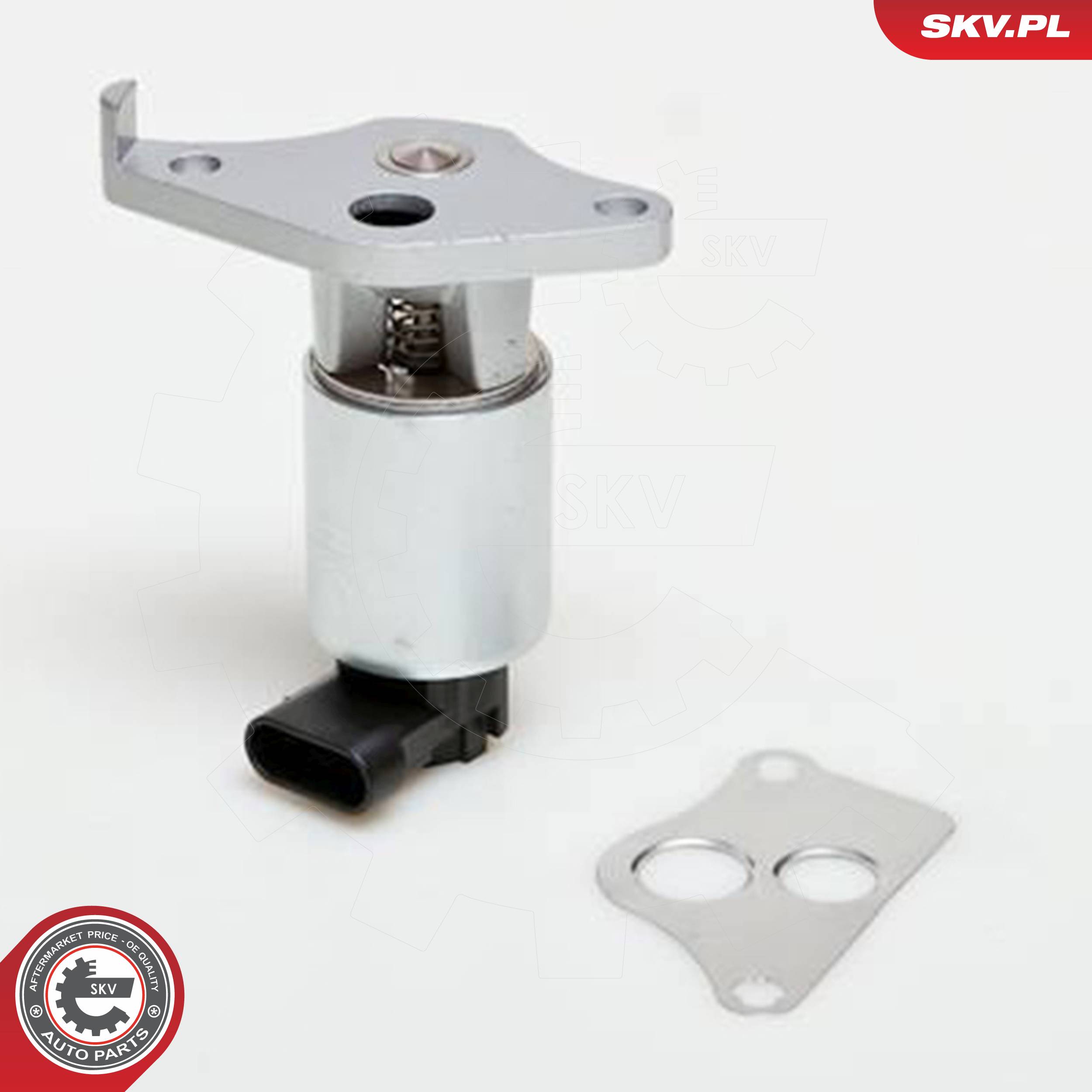 ESEN SKV AGR-Ventil 14skv013 für Vaughall