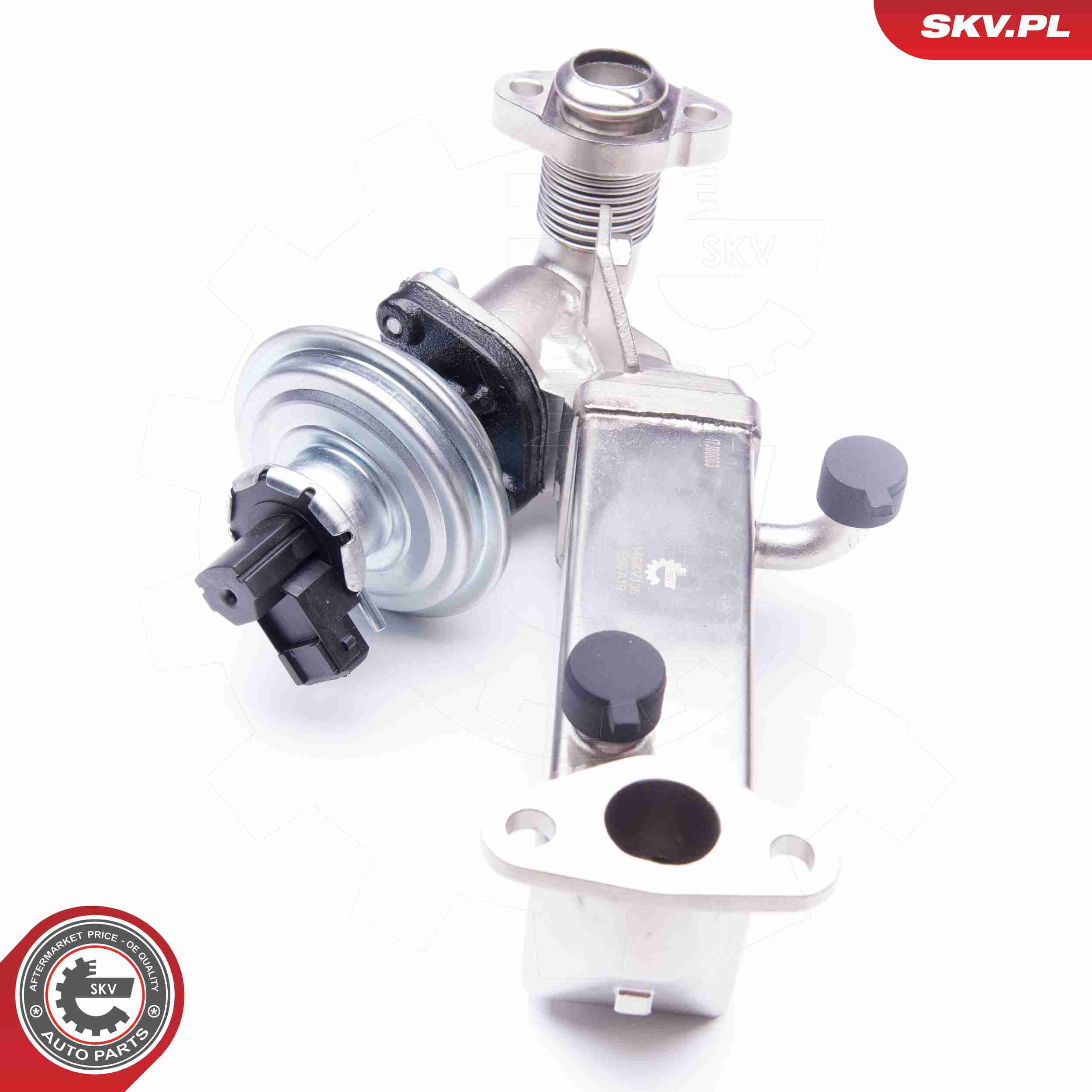 ESEN SKV AGR-Ventil 14skv136 für BMW