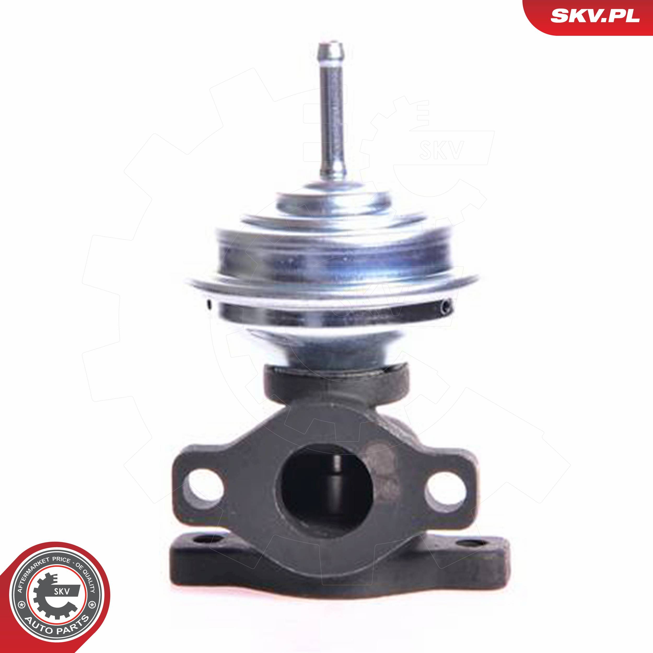 ESEN SKV AGR-Ventil 14skv005 für VAG