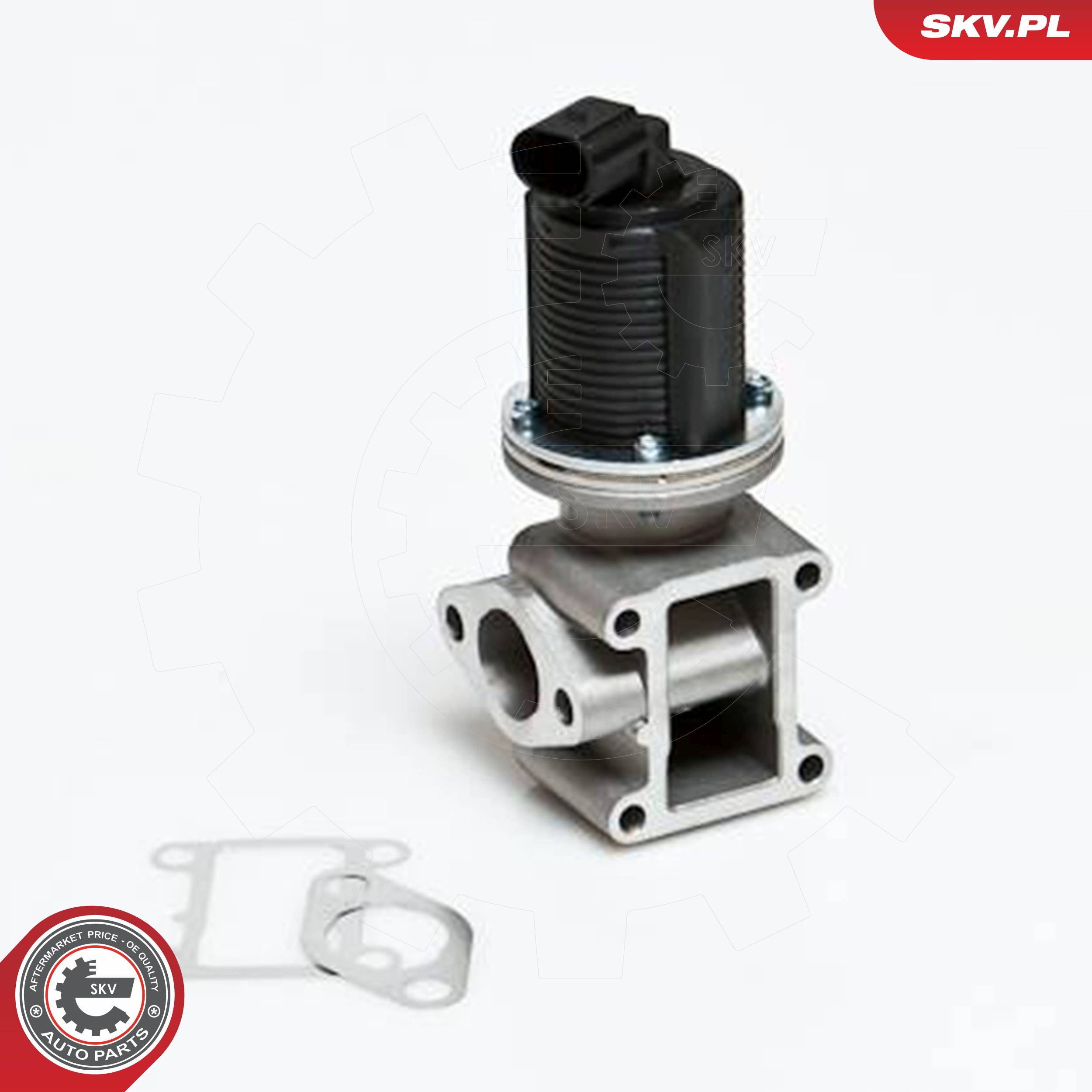 ESEN SKV AGR-Ventil 14skv012 für Opel LANCIA CADILLAC ALFA ROMEO Fiat Vaughall