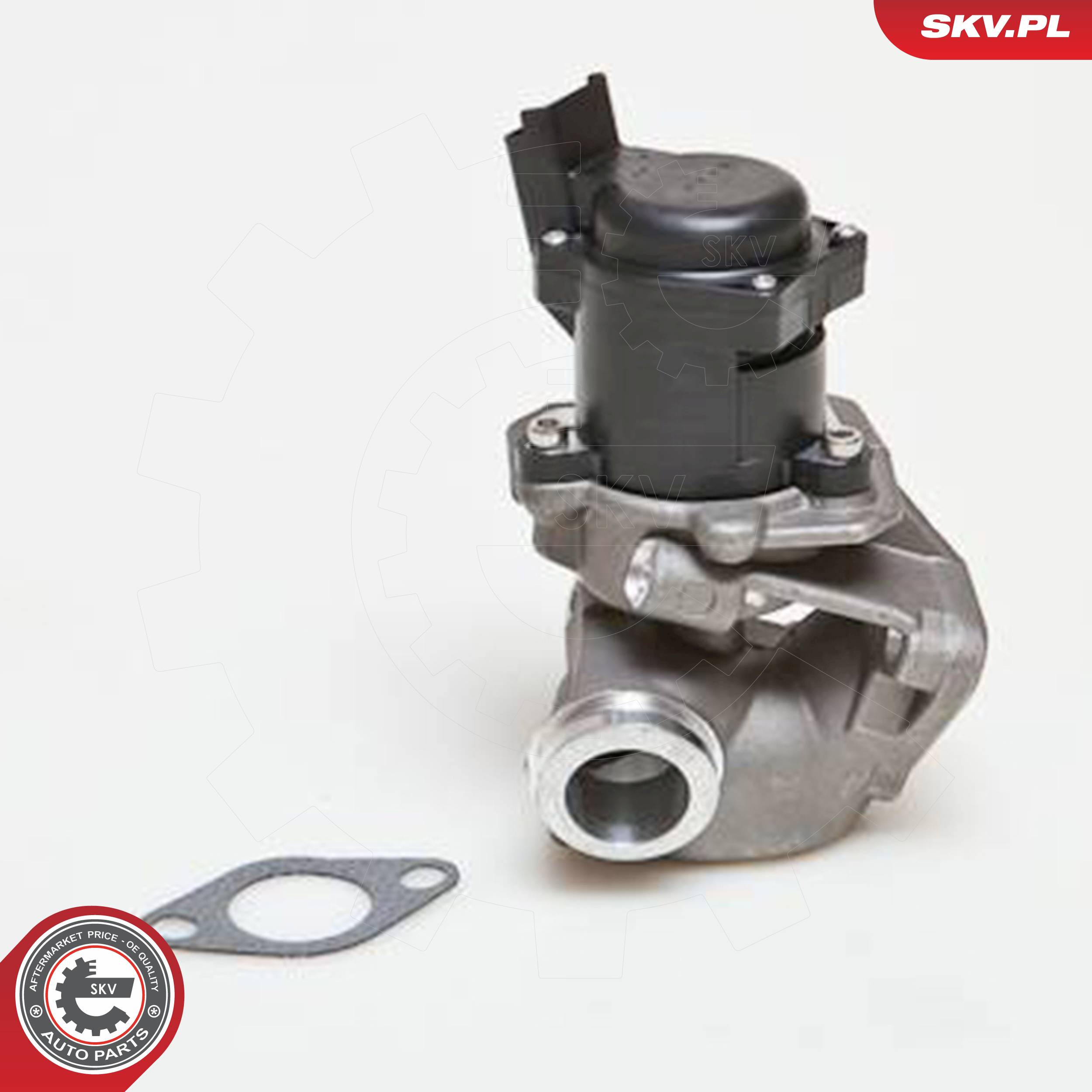 ESEN SKV AGR-Ventil 14skv027 für Citroën/Peugeot Ford TOYOTA