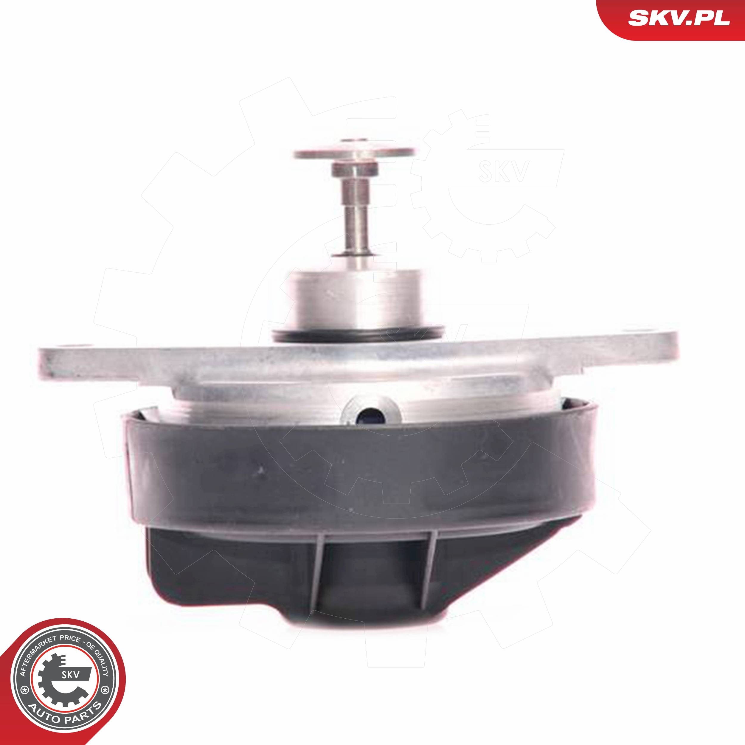 ESEN SKV AGR-Ventil 14skv023 für Opel