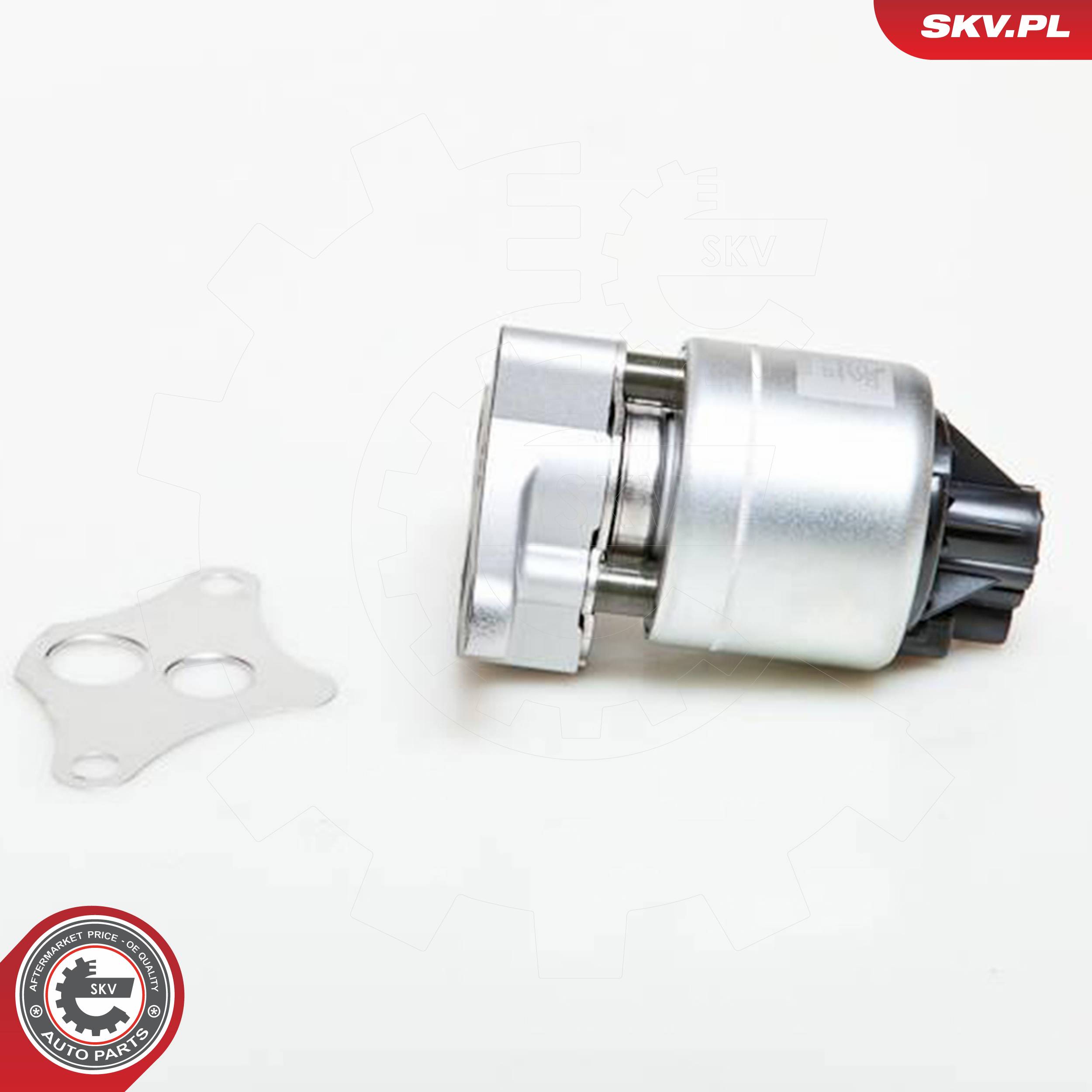 ESEN SKV AGR-Ventil 14skv037 für GM DAEWOO