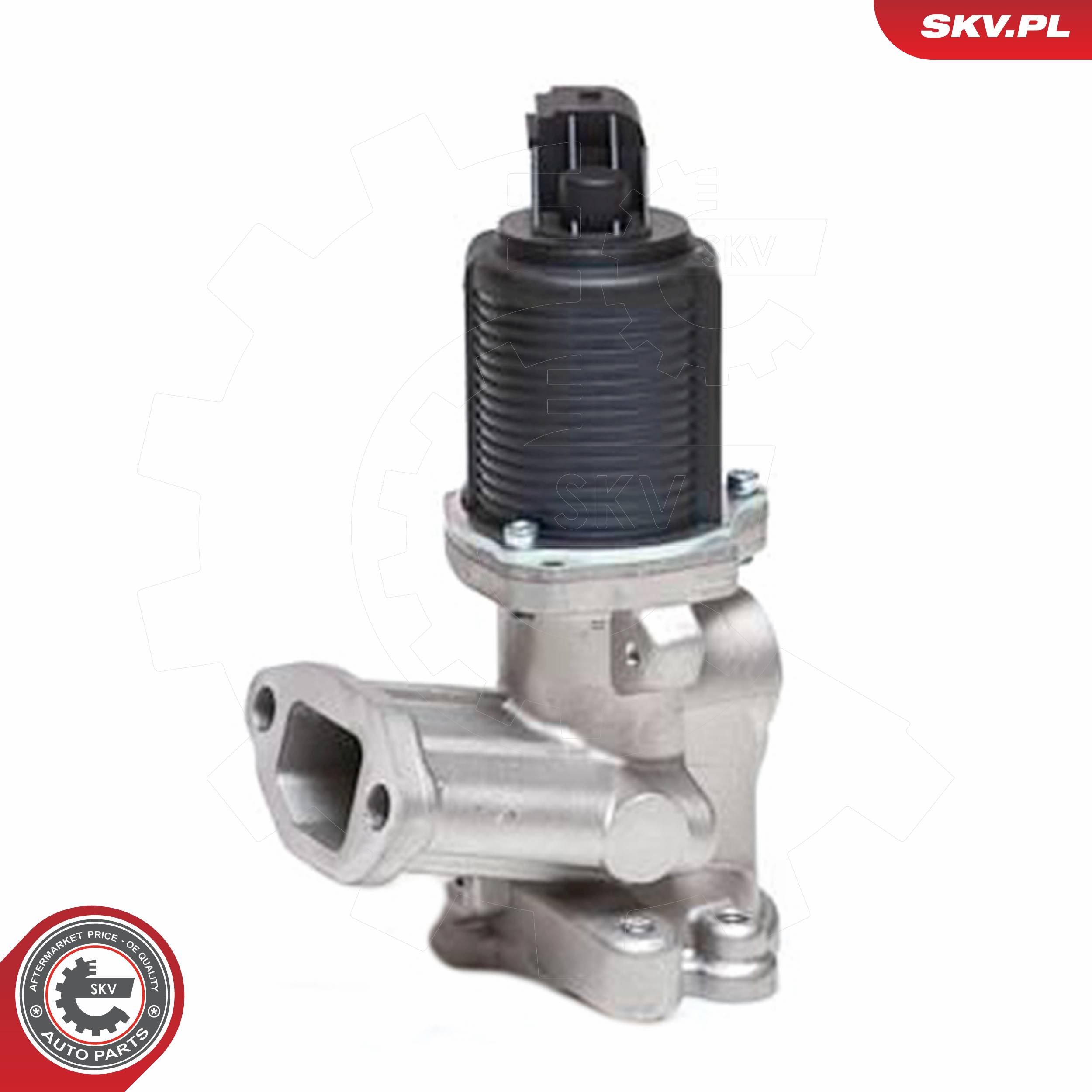 ESEN SKV AGR-Ventil 14skv040 für Fiat LANCIA