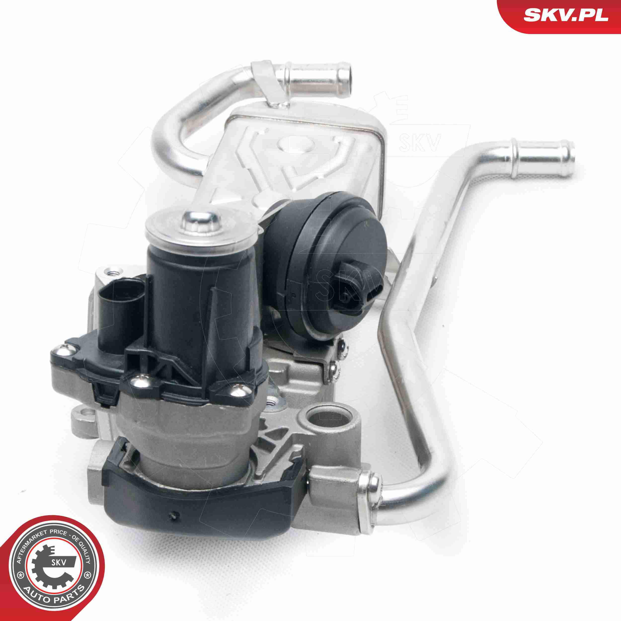 ESEN SKV AGR-Ventil 14skv096 für VAG