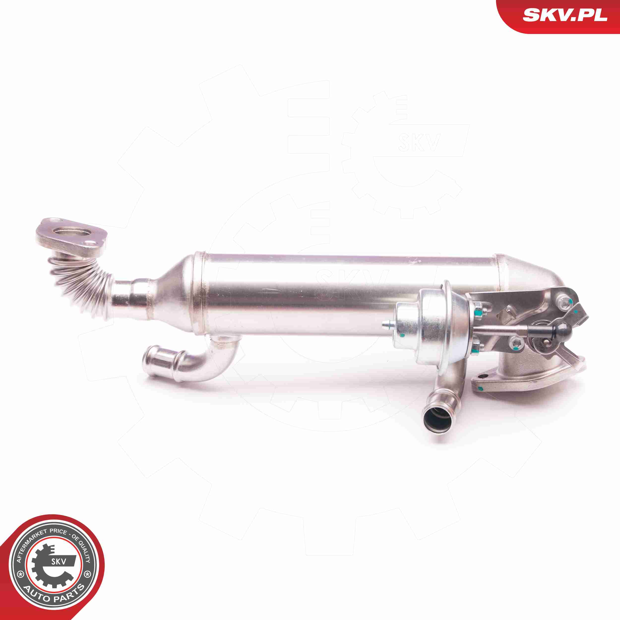 ESEN SKV AGR-Ventil 14skv119 für VAG