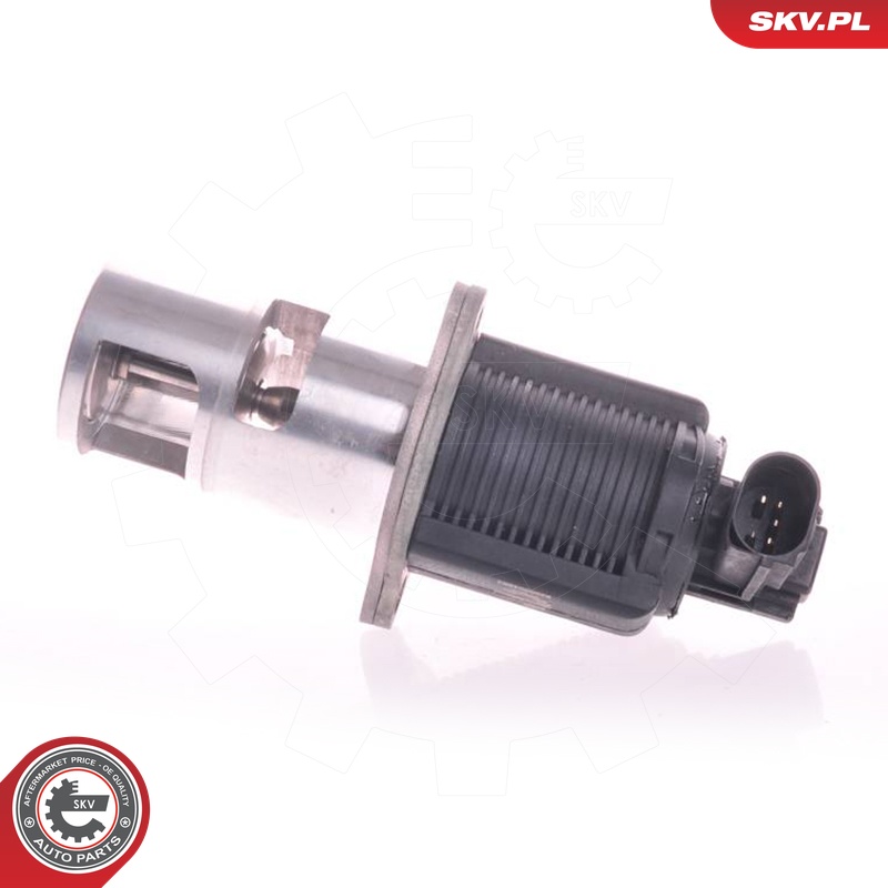 ESEN SKV AGR-Ventil 14skv011 für NISSAN RENAULT DACIA