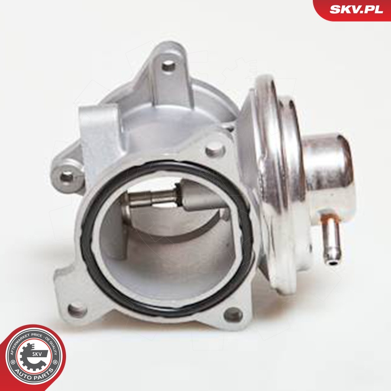ESEN SKV AGR-Ventil 14skv034 für VAG