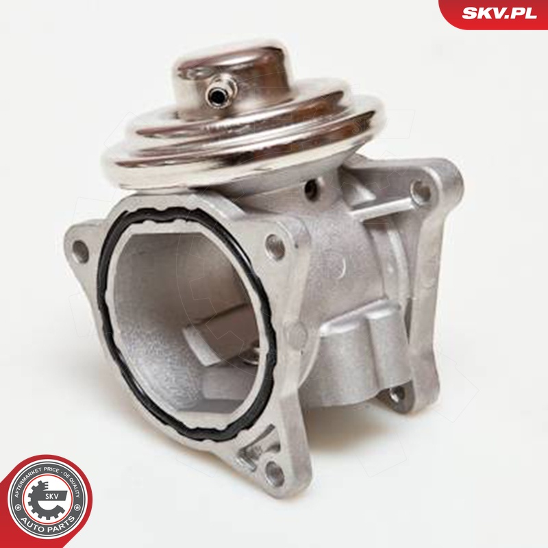 ESEN SKV AGR-Ventil 14skv019 für VAG DODGE JEEP MITSUBISHI