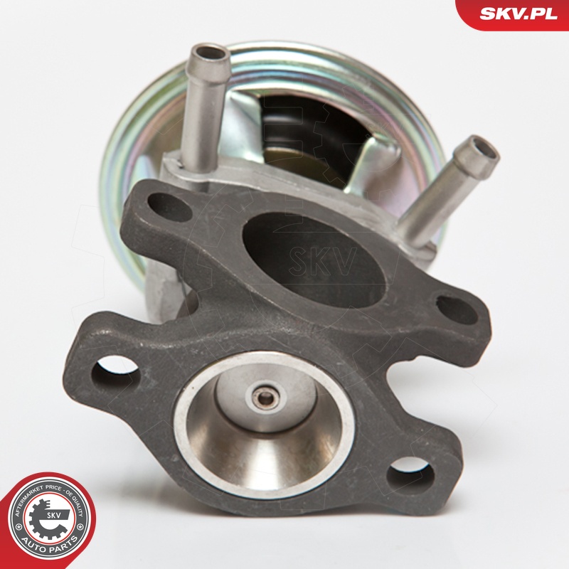 ESEN SKV AGR-Ventil 14skv062 für Fiat MITSUBISHI