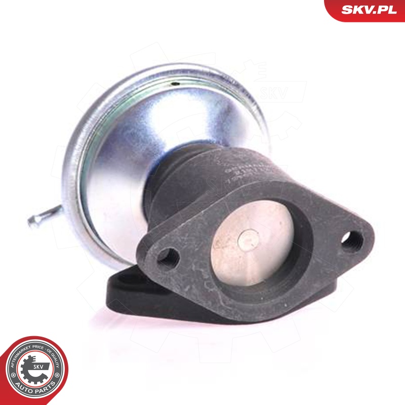 ESEN SKV AGR-Ventil 14skv001 für Volvo VW