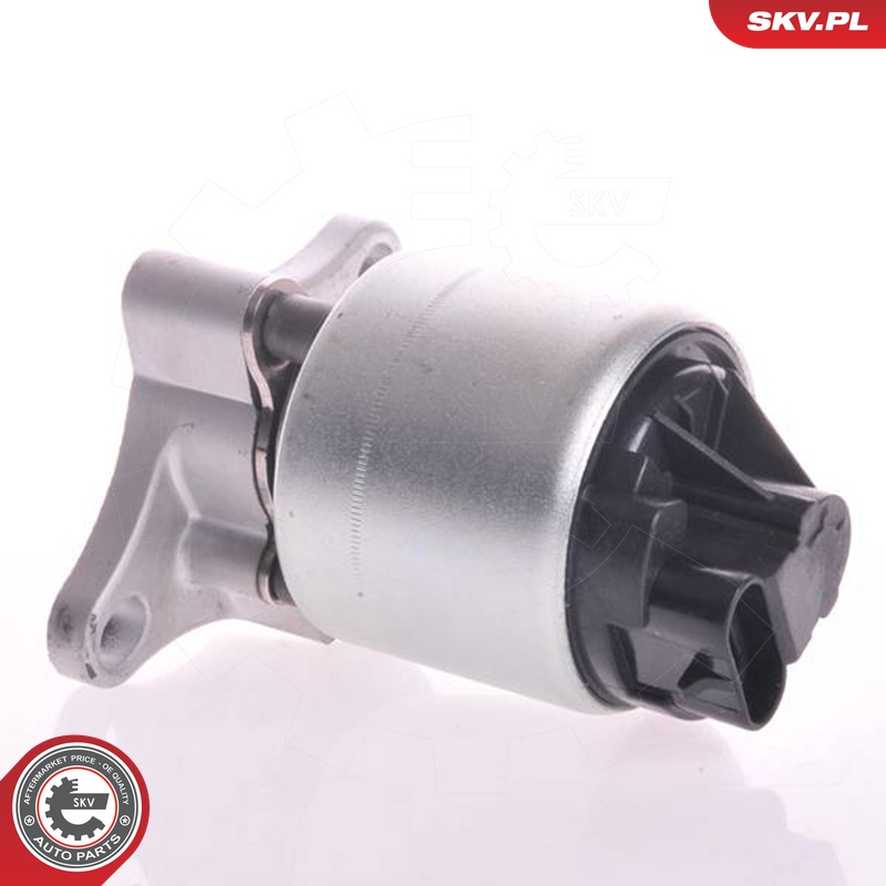 ESEN SKV AGR-Ventil 14skv002 für Vaughall Opel