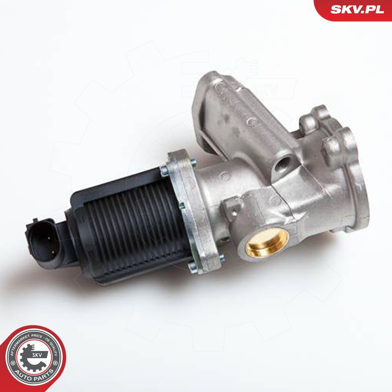ESEN SKV AGR-Ventil 14skv014 für Vaughall Opel Fiat LANCIA Suzuki