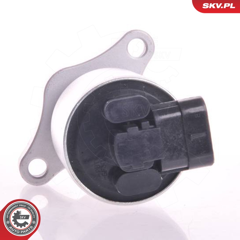 ESEN SKV AGR-Ventil 14skv004 für Opel