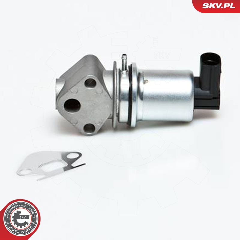 ESEN SKV AGR-Ventil 14skv007 für VW VAG
