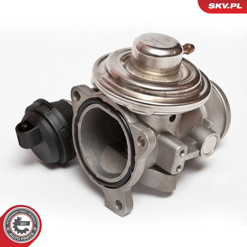 ESEN SKV AGR-Ventil 14skv026 für Ford VW