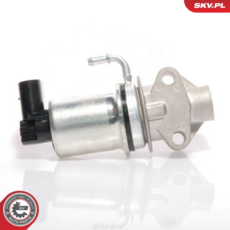 ESEN SKV AGR-Ventil 14skv018 für VW
