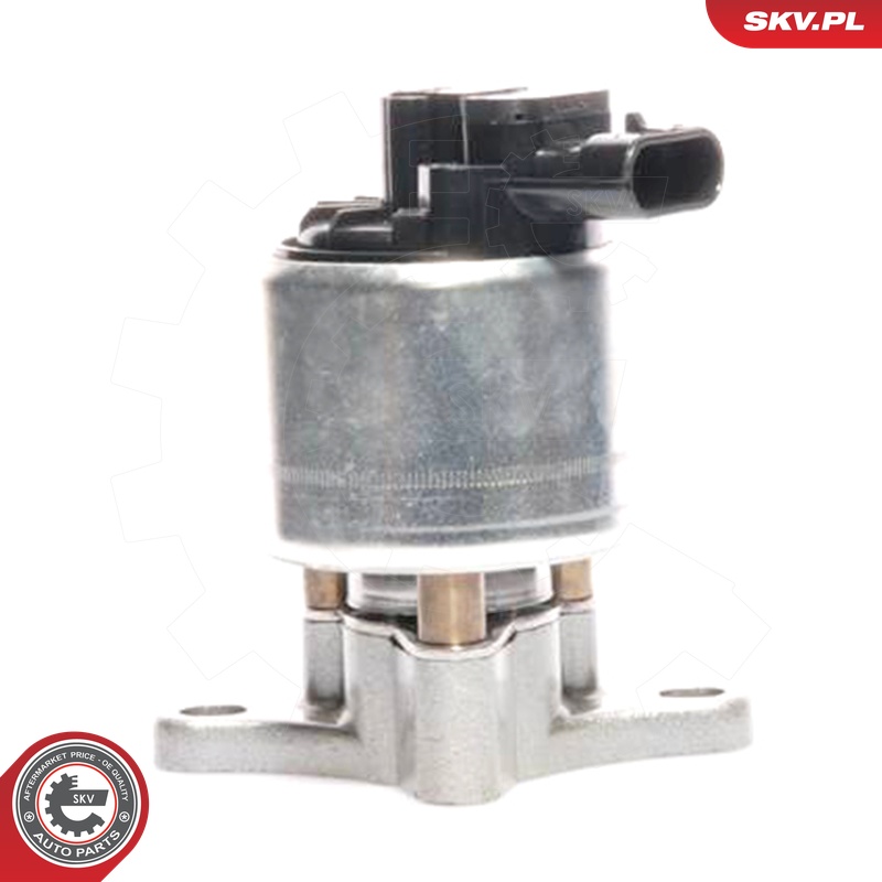 ESEN SKV AGR-Ventil 14skv017 für Citroën/Peugeot Fiat