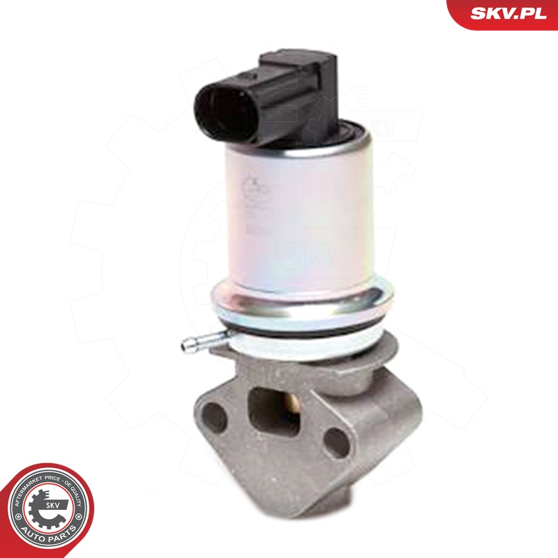 ESEN SKV AGR-Ventil 14skv029 für VAG