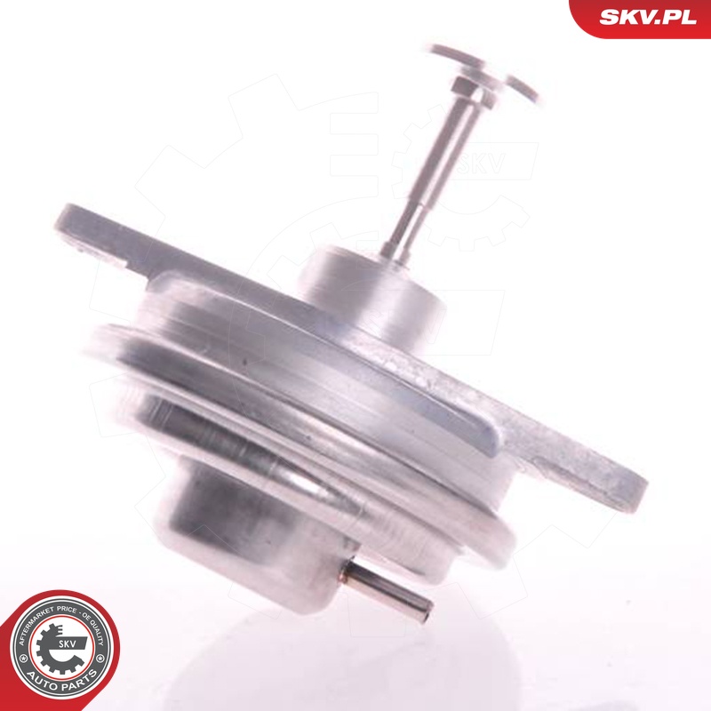 ESEN SKV AGR-Ventil 14skv022 für Vaughall SAAB GM Opel