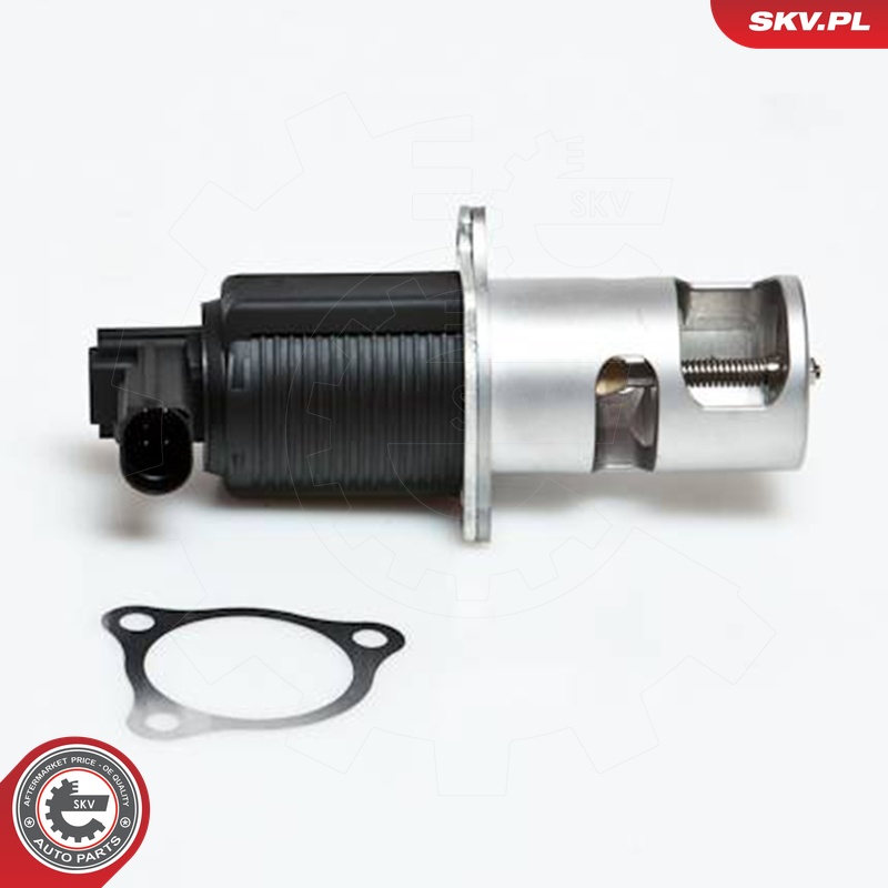 ESEN SKV AGR-Ventil 14skv032 für Opel RENAULT
