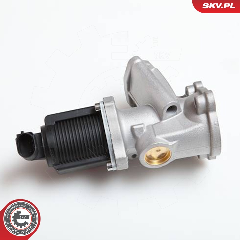 ESEN SKV AGR-Ventil 14skv031 für Vaughall Fiat LANCIA