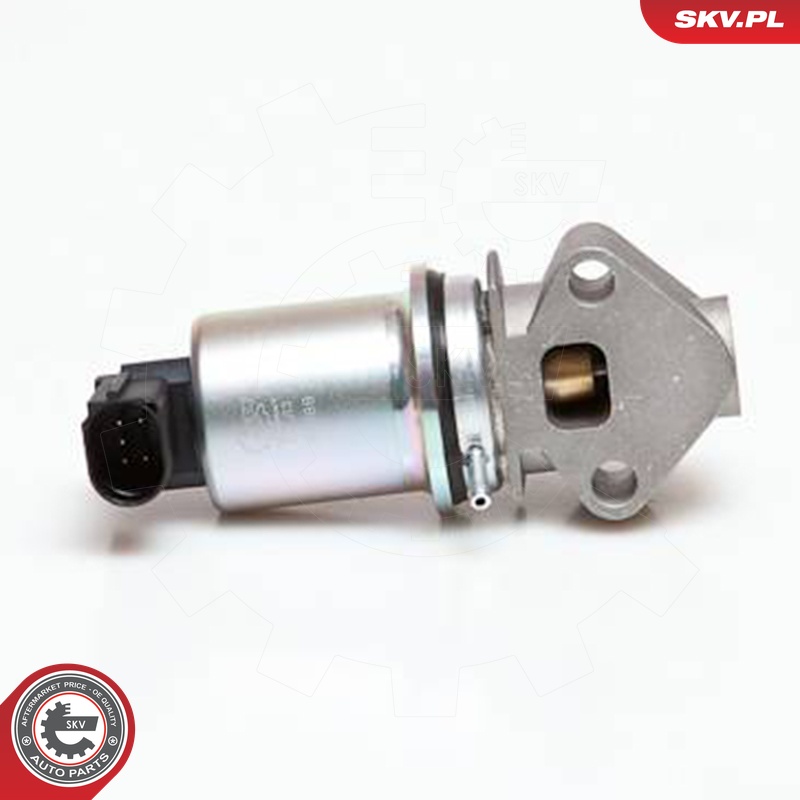 ESEN SKV AGR-Ventil 14skv043 für VAG VW