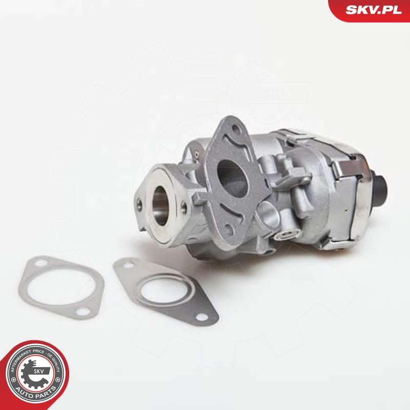 ESEN SKV AGR-Ventil 14skv038 für Ford Fiat LAND ROVER LANCIA Citroën/Peugeot