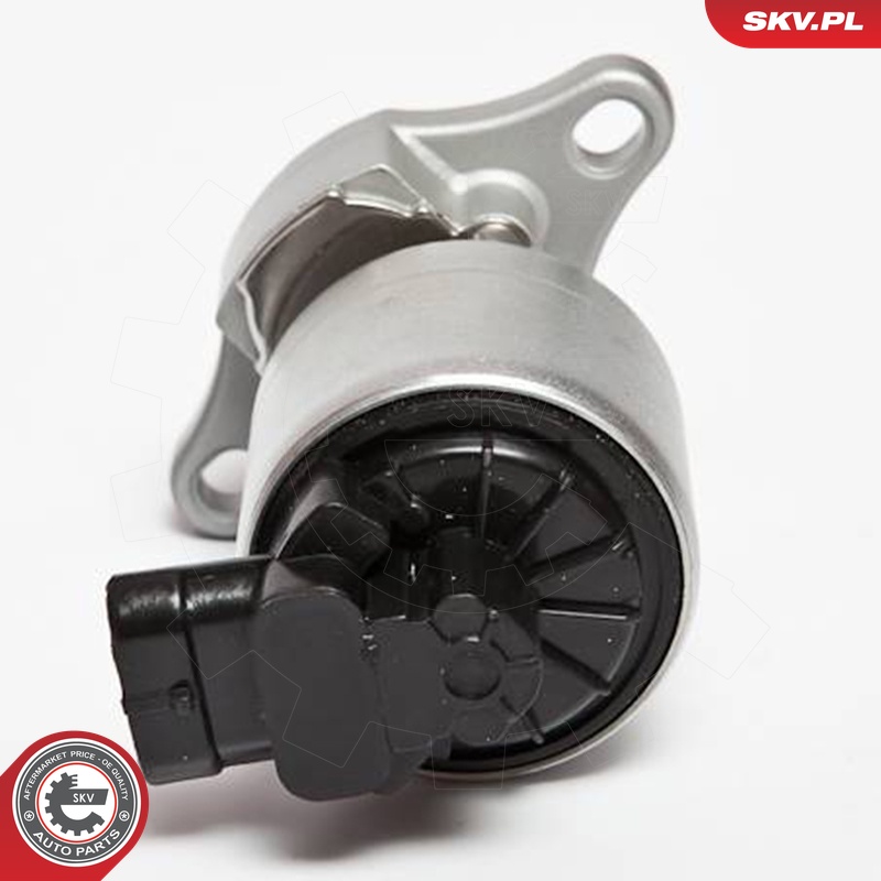 ESEN SKV AGR-Ventil 14skv042 für Vaughall Opel