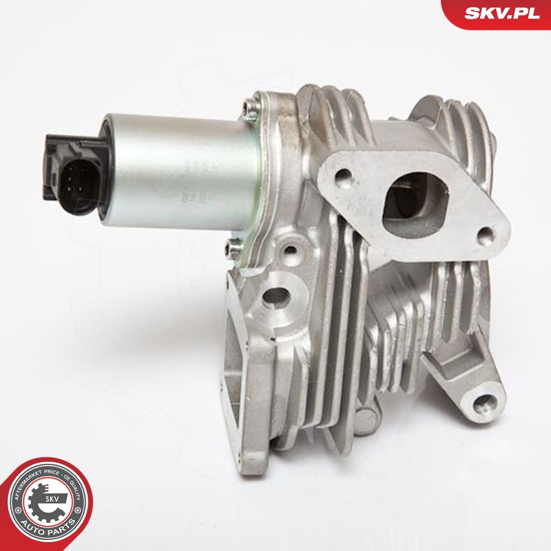 ESEN SKV AGR-Ventil 14skv036 für RENAULT