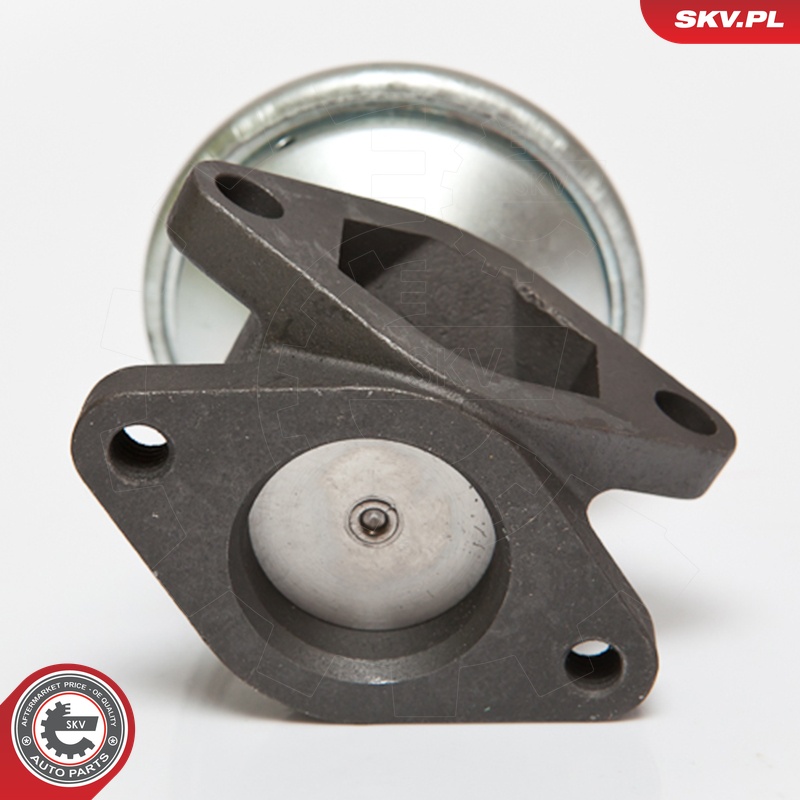 ESEN SKV AGR-Ventil 14skv052 für RENAULT