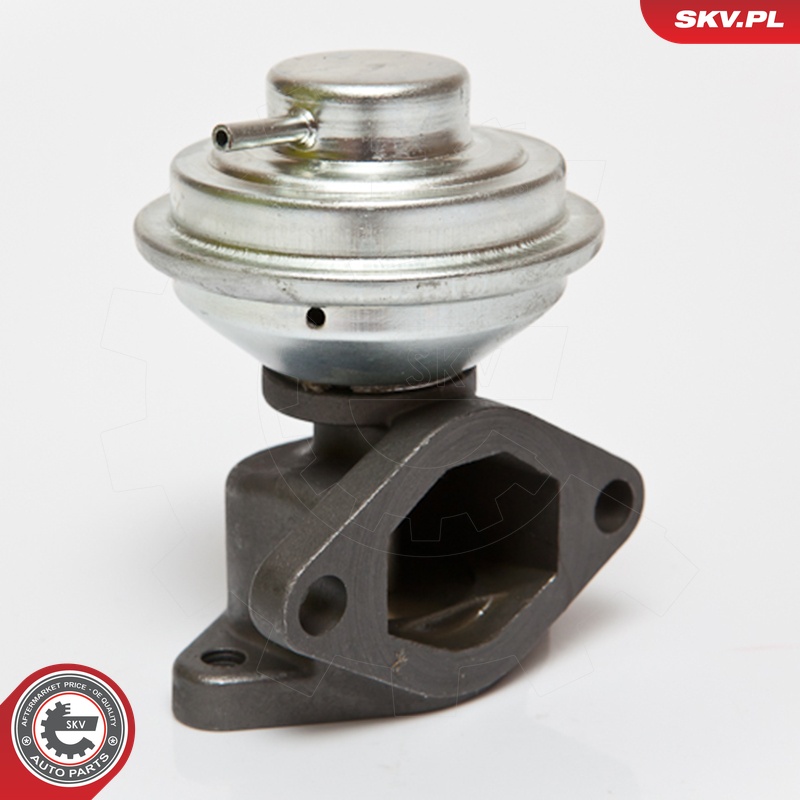 ESEN SKV AGR-Ventil 14skv051 für Ford