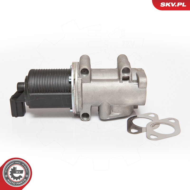 ESEN SKV AGR-Ventil 14skv055 für Opel GM Vaughall LANCIA ALFA ROMEO Suzuki