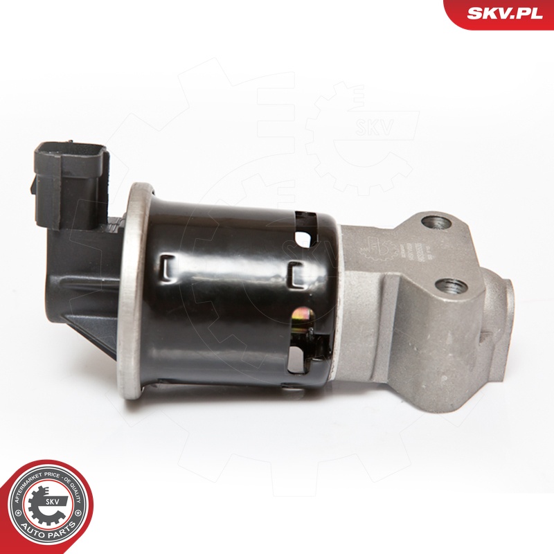 ESEN SKV AGR-Ventil 14skv059 für GM CHEVROLET DAEWOO