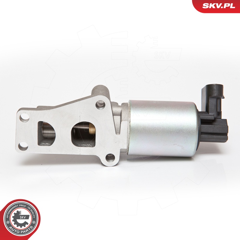 ESEN SKV AGR-Ventil 14skv065 für Vaughall