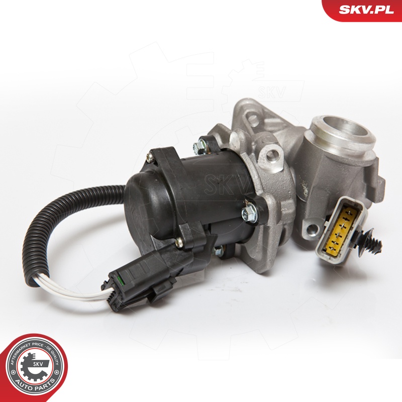 ESEN SKV AGR-Ventil 14skv067 für Ford Citroën/Peugeot