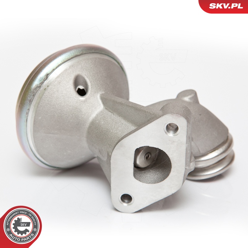 ESEN SKV AGR-Ventil 14skv075 für Ford Citroën/Peugeot MAZDA