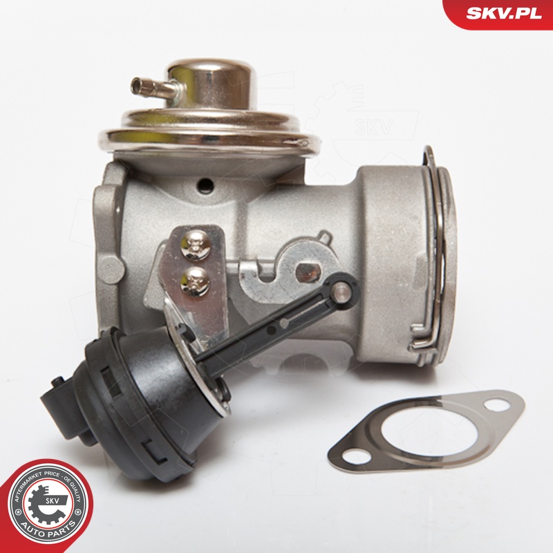 ESEN SKV AGR-Ventil 14skv081 für VAG