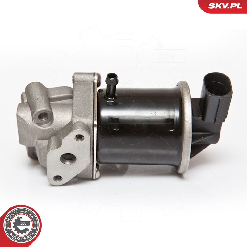 ESEN SKV AGR-Ventil 14skv074 für VAG