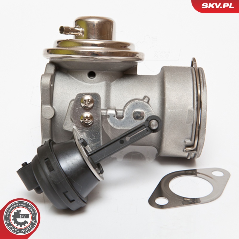 ESEN SKV AGR-Ventil 14skv080 für VAG