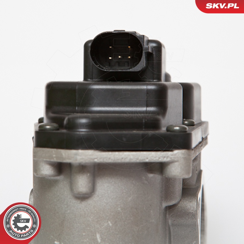 ESEN SKV AGR-Ventil 14skv085 für VAG