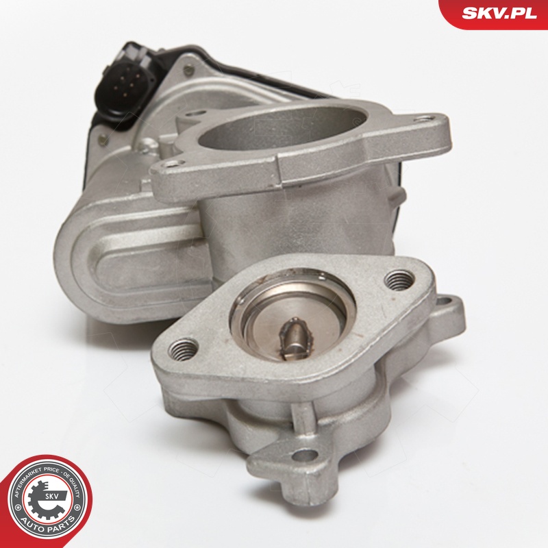ESEN SKV AGR-Ventil 14skv083 für VAG Audi