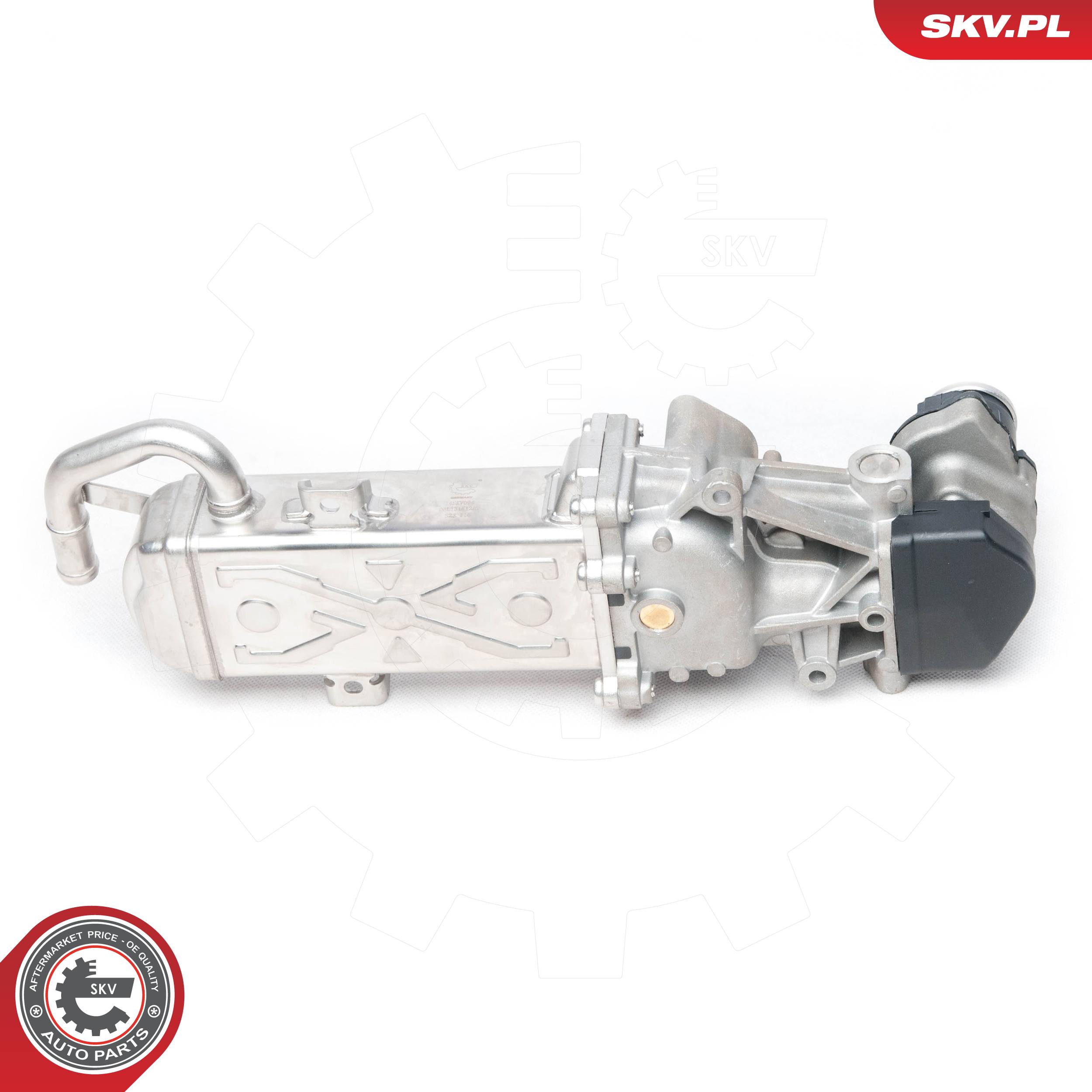 ESEN SKV AGR-Ventil 14skv094 für VAG