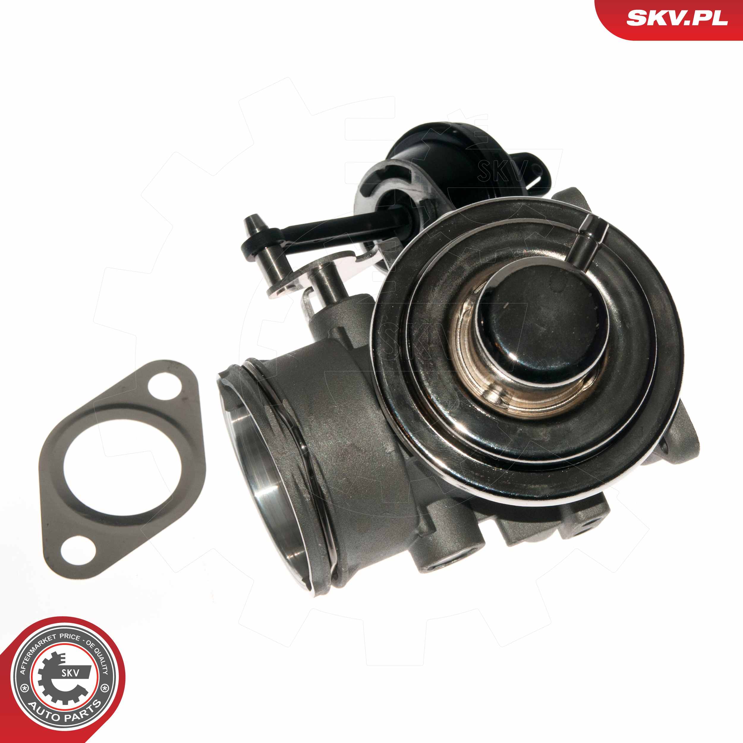 ESEN SKV AGR-Ventil 14skv090 für VAG