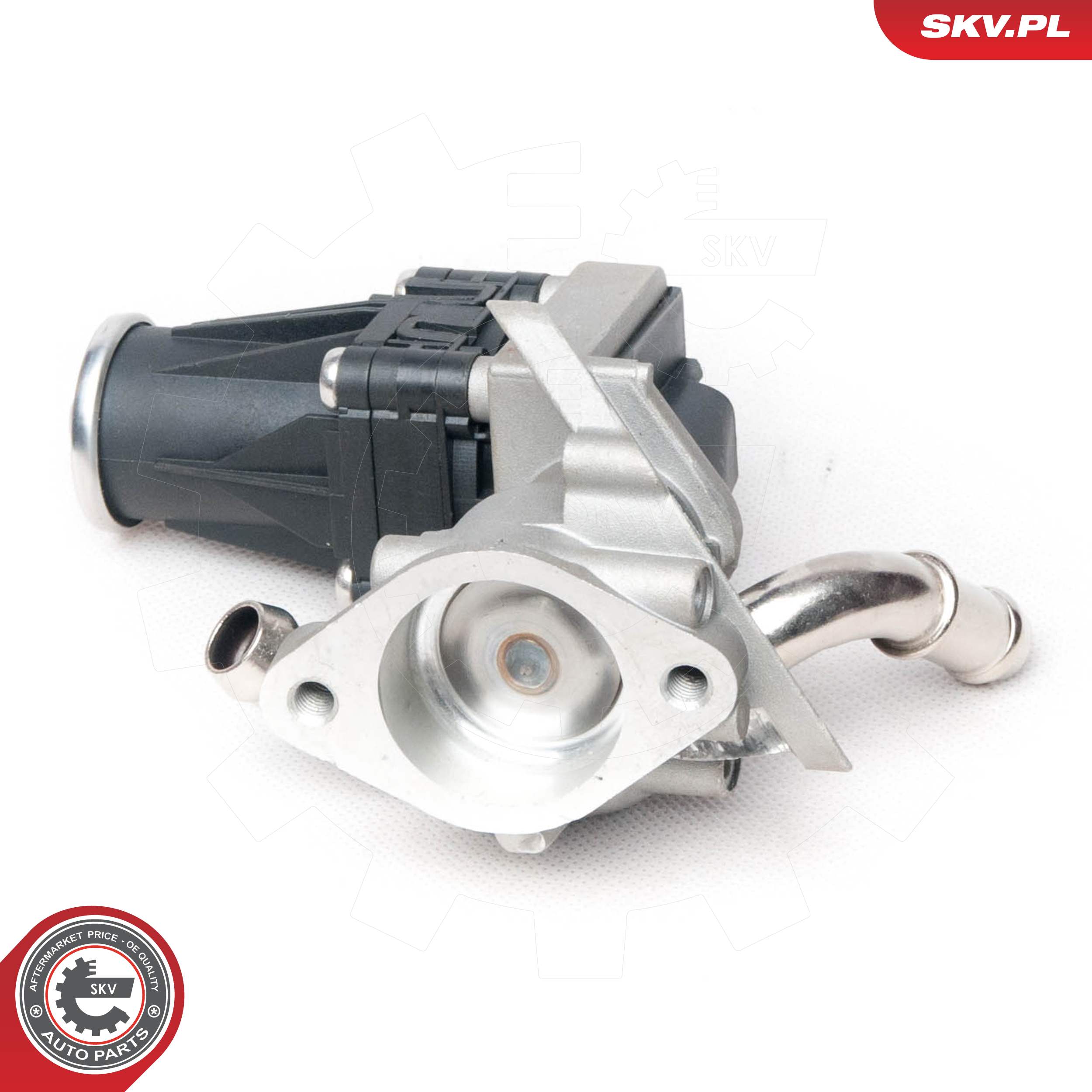 ESEN SKV AGR-Ventil 14skv100 für Ford Peugeot LAND ROVER
