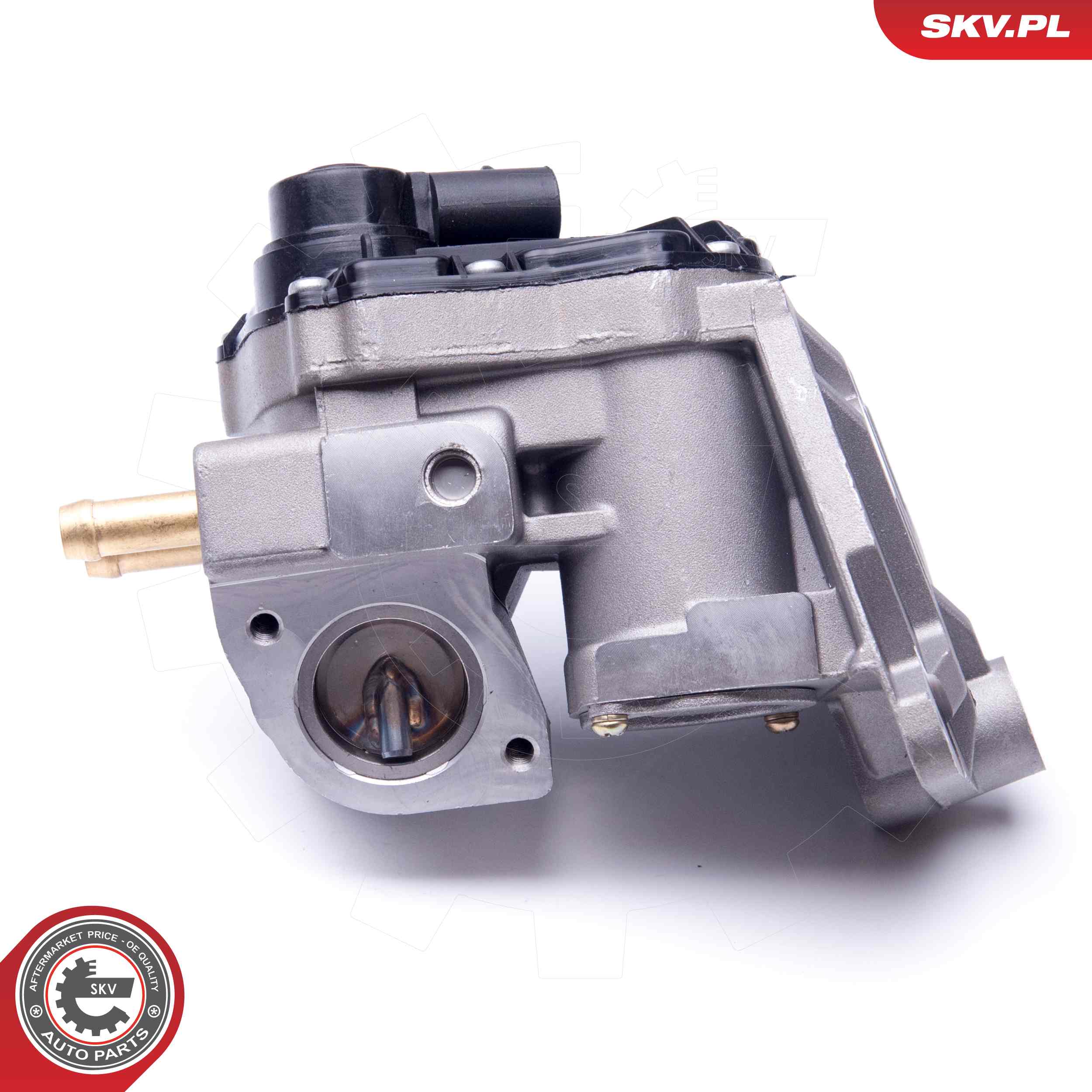 ESEN SKV AGR-Ventil 14skv087 für VAG