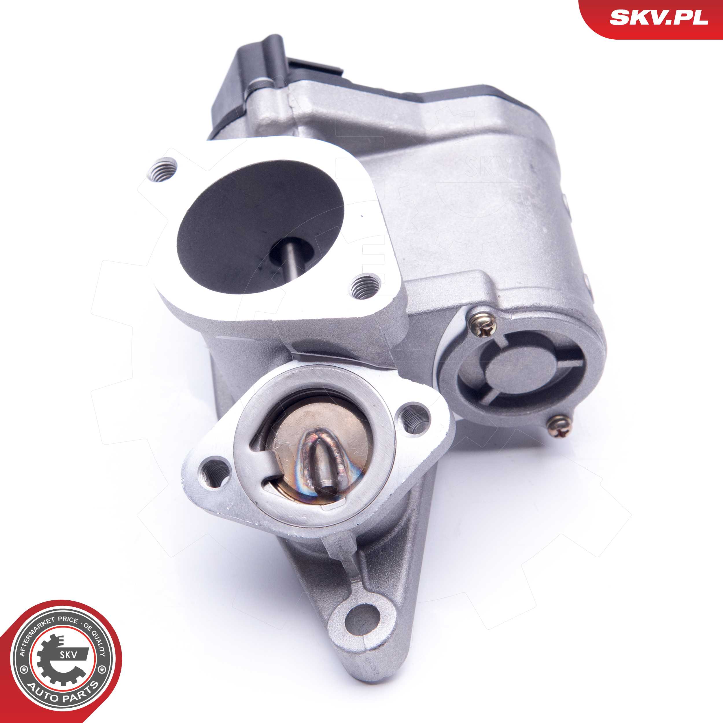 ESEN SKV AGR-Ventil 14skv165 für RENAULT Suzuki